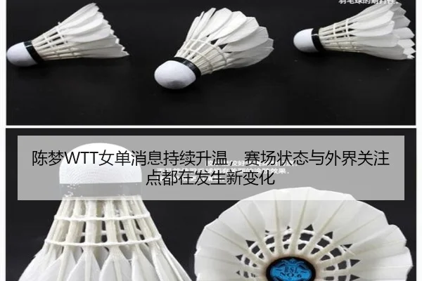 陈梦WTT女单消息持续升温，赛场状态与外界关注点都在发生新变化